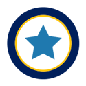 Star in circle icon
